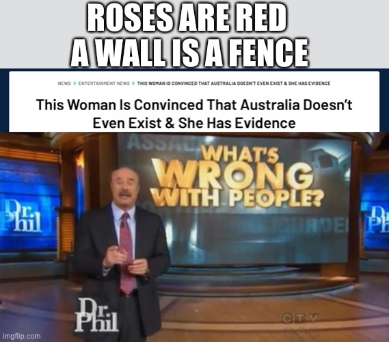 ? | ROSES ARE RED 
A WALL IS A FENCE | image tagged in dr phil what's wrong with people | made w/ Imgflip meme maker