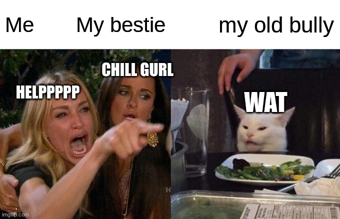 Woman Yelling At Cat | Me       My bestie; my old bully; CHILL GURL; HELPPPPP; WAT | image tagged in memes,woman yelling at cat | made w/ Imgflip meme maker
