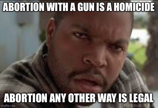 Dumb Ass | ABORTION WITH A GUN IS A HOMICIDE ABORTION ANY OTHER WAY IS LEGAL | image tagged in dumb ass | made w/ Imgflip meme maker