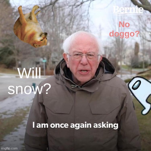 Bernie I Am Once Again Asking For Your Support | No doggo? Will snow? | image tagged in memes,bernie i am once again asking for your support | made w/ Imgflip meme maker