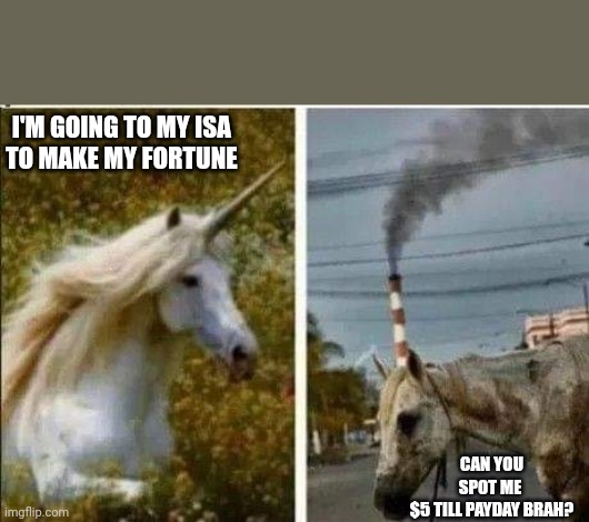 Unicorn | I'M GOING TO MY ISA 
TO MAKE MY FORTUNE; CAN YOU SPOT ME 
$5 TILL PAYDAY BRAH? | image tagged in unicorn | made w/ Imgflip meme maker