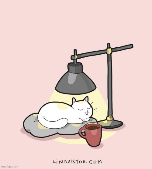 A Cat's Way Of Thinking | image tagged in memes,comics,cats,lamp,heat,sleeping | made w/ Imgflip meme maker