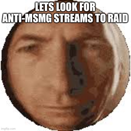 I wanna bully tck rn lol | LETS LOOK FOR ANTI-MSMG STREAMS TO RAID | image tagged in ball goodman | made w/ Imgflip meme maker