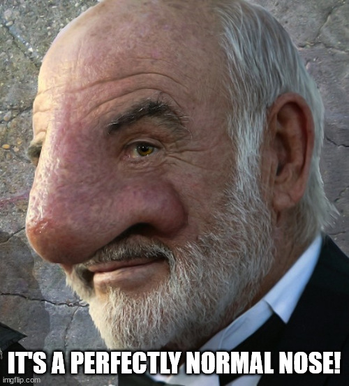 Connery big nose | IT'S A PERFECTLY NORMAL NOSE! | image tagged in connery big nose | made w/ Imgflip meme maker
