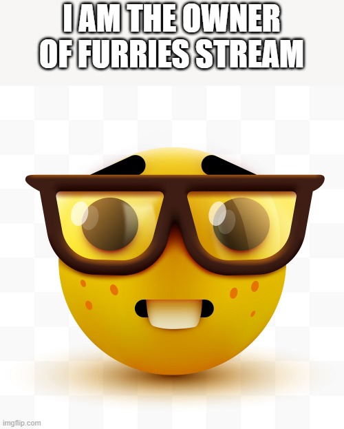 the nerd is saying it | I AM THE OWNER OF FURRIES STREAM | image tagged in nerd emoji | made w/ Imgflip meme maker