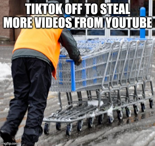 annoying tiktokers | TIKTOK OFF TO STEAL MORE VIDEOS FROM YOUTUBE | image tagged in shopping cart,stealing memes,memes,tik tok sucks | made w/ Imgflip meme maker