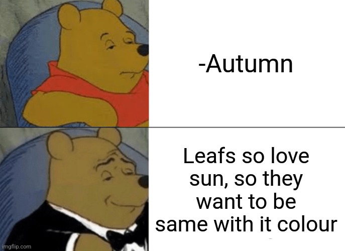 -No green. |  -Autumn; Leafs so love sun, so they want to be same with it colour | image tagged in memes,tuxedo winnie the pooh,toronto maple leafs,autumn,sun,colours | made w/ Imgflip meme maker