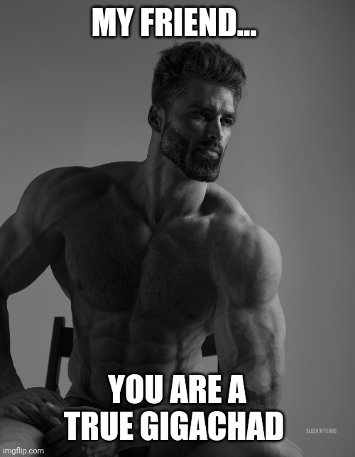 Giga Chad | MY FRIEND... YOU ARE A TRUE GIGACHAD | image tagged in giga chad | made w/ Imgflip meme maker