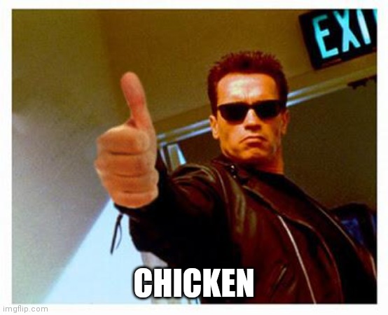 terminator thumbs up | CHICKEN | image tagged in terminator thumbs up | made w/ Imgflip meme maker