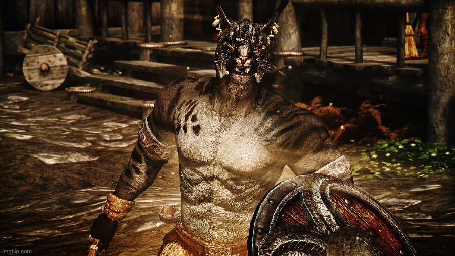 Buff khajiit | made w/ Imgflip meme maker