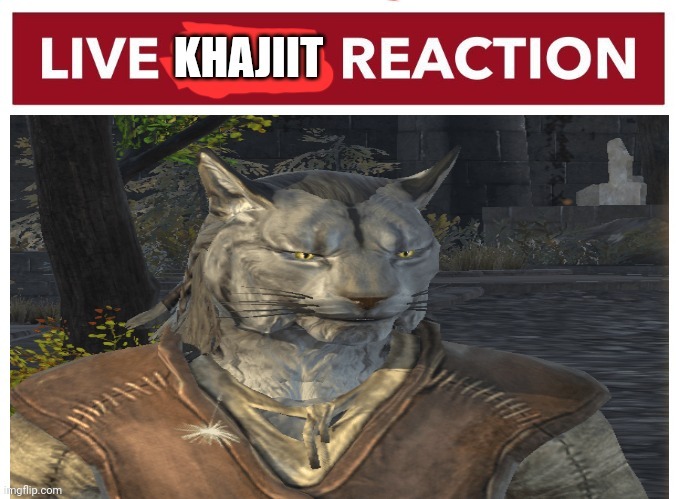 image tagged in live khajiit reaction | made w/ Imgflip meme maker