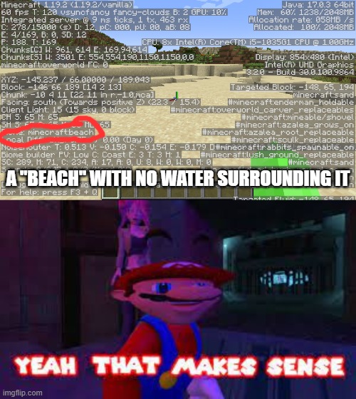 Minecraft world generation is so weird... | A "BEACH" WITH NO WATER SURROUNDING IT | image tagged in minecraft,yeah that makes sense,why are you reading the tags,stop reading the tags | made w/ Imgflip meme maker