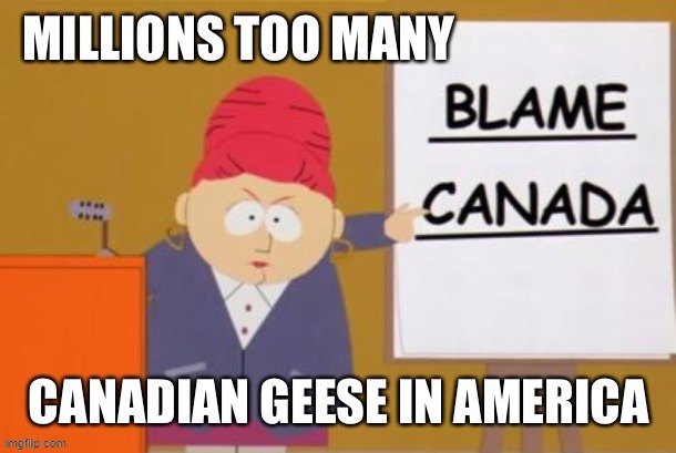 Canada's Fault | image tagged in blame canada,memes,humor,so true,funny,funny memes | made w/ Imgflip meme maker