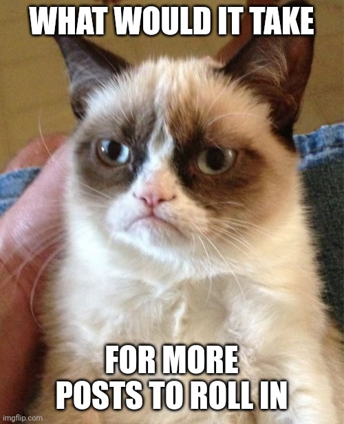 Grumpy Cat | WHAT WOULD IT TAKE; FOR MORE POSTS TO ROLL IN | image tagged in memes,grumpy cat | made w/ Imgflip meme maker