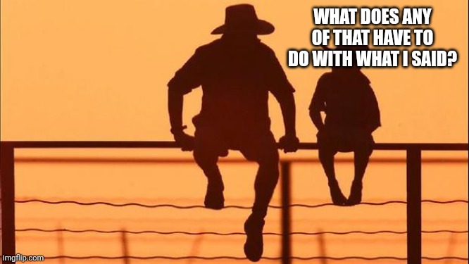 Cowboy father and son | WHAT DOES ANY OF THAT HAVE TO DO WITH WHAT I SAID? | image tagged in cowboy father and son | made w/ Imgflip meme maker