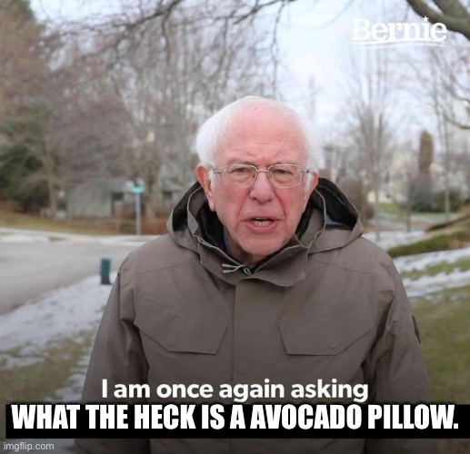 Bernie | WHAT THE HECK IS A AVOCADO PILLOW. | image tagged in bernie | made w/ Imgflip meme maker