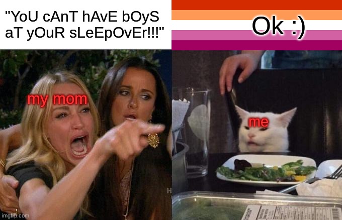 didnt plan on it :D |  "YoU cAnT hAvE bOyS aT yOuR sLeEpOvEr!!!"; Ok :); my mom; me | image tagged in memes,woman yelling at cat | made w/ Imgflip meme maker