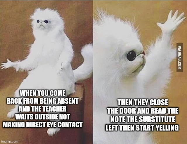 Confused white monkey | WHEN YOU COME BACK FROM BEING ABSENT AND THE TEACHER WAITS OUTSIDE NOT MAKING DIRECT EYE CONTACT; THEN THEY CLOSE THE DOOR AND READ THE NOTE THE SUBSTITUTE LEFT THEN START YELLING | image tagged in confused white monkey | made w/ Imgflip meme maker