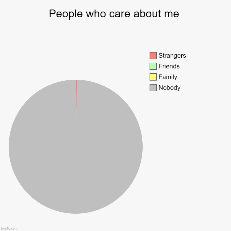 :D | People who care about me | Nobody, Family, Friends, Strangers | image tagged in charts,pie charts | made w/ Imgflip chart maker