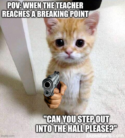 Cute Cat Meme | POV: WHEN THE TEACHER REACHES A BREAKING POINT; "CAN YOU STEP OUT INTO THE HALL PLEASE?" | image tagged in memes,cute cat | made w/ Imgflip meme maker