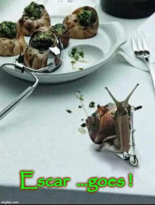 I don`t like garlic ! |  Escar  ...goes ! | image tagged in snail | made w/ Imgflip meme maker