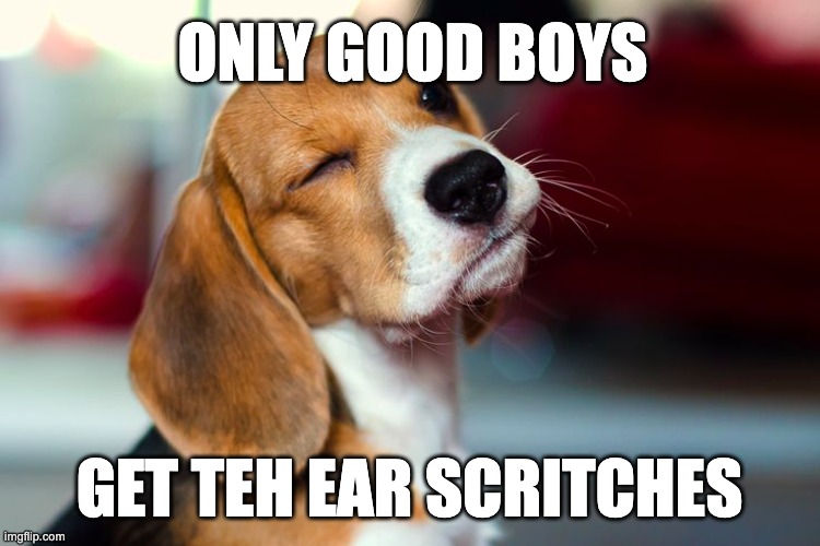 Winking Beagle | ONLY GOOD BOYS; GET TEH EAR SCRITCHES | image tagged in dog,beagle | made w/ Imgflip meme maker