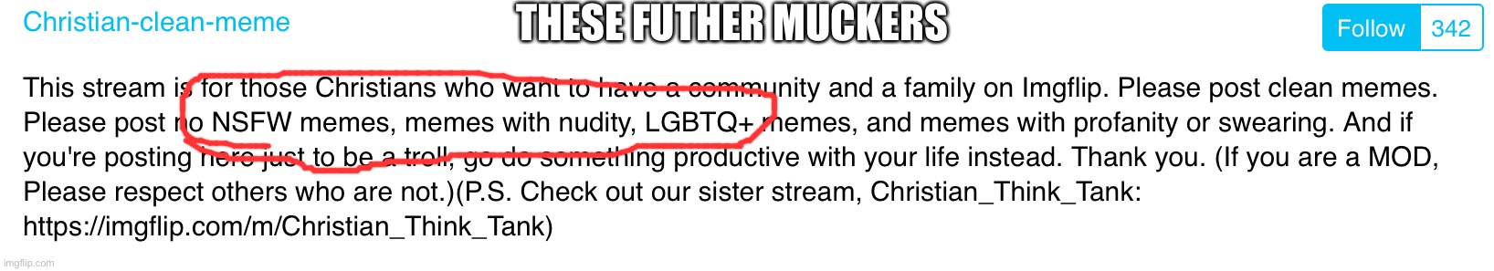 No LGBTQ+??? | THESE FUTHER MUCKERS | image tagged in ya'll mother fuckers | made w/ Imgflip meme maker