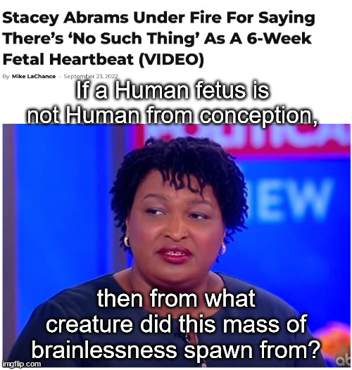 From what did she spawn? |  If a Human fetus is not Human from conception, then from what creature did this mass of brainlessness spawn from? | image tagged in memes,politics | made w/ Imgflip meme maker