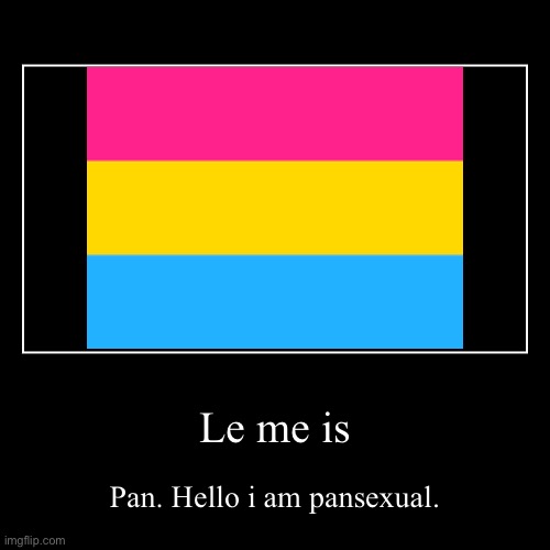 image tagged in funny,demotivationals,pansexual | made w/ Imgflip demotivational maker