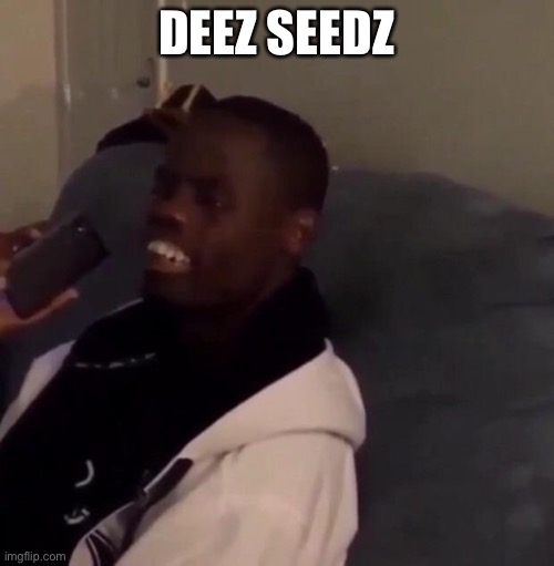 Deez Nutz | DEEZ SEEDZ | image tagged in deez nutz | made w/ Imgflip meme maker