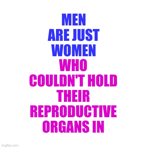 Excuse Me, Sir.  I Don't Mean To Bother You But It Seems As Though Your Insides Are On The Outside | WHO COULDN'T HOLD THEIR REPRODUCTIVE ORGANS IN; MEN ARE JUST WOMEN | image tagged in memes,blank transparent square,women vs men,women and men,difference between women and men,that moment when | made w/ Imgflip meme maker
