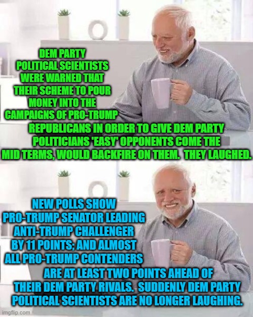 Suddenly Dem Party strategists are no longer laughing. | DEM PARTY POLITICAL SCIENTISTS WERE WARNED THAT THEIR SCHEME TO POUR MONEY INTO THE CAMPAIGNS OF PRO-TRUMP; REPUBLICANS IN ORDER TO GIVE DEM PARTY POLITICIANS 'EASY' OPPONENTS COME THE MID TERMS, WOULD BACKFIRE ON THEM.  THEY LAUGHED. NEW POLLS SHOW PRO-TRUMP SENATOR LEADING ANTI-TRUMP CHALLENGER BY 11 POINTS; AND ALMOST ALL PRO-TRUMP CONTENDERS; ARE AT LEAST TWO POINTS AHEAD OF THEIR DEM PARTY RIVALS.  SUDDENLY DEM PARTY POLITICAL SCIENTISTS ARE NO LONGER LAUGHING. | image tagged in hide the pain harold | made w/ Imgflip meme maker