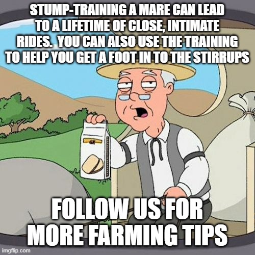 Pepperidge Farm Remembers Meme | STUMP-TRAINING A MARE CAN LEAD TO A LIFETIME OF CLOSE, INTIMATE RIDES.  YOU CAN ALSO USE THE TRAINING TO HELP YOU GET A FOOT IN TO THE STIRRUPS; FOLLOW US FOR MORE FARMING TIPS | image tagged in memes,pepperidge farm remembers | made w/ Imgflip meme maker