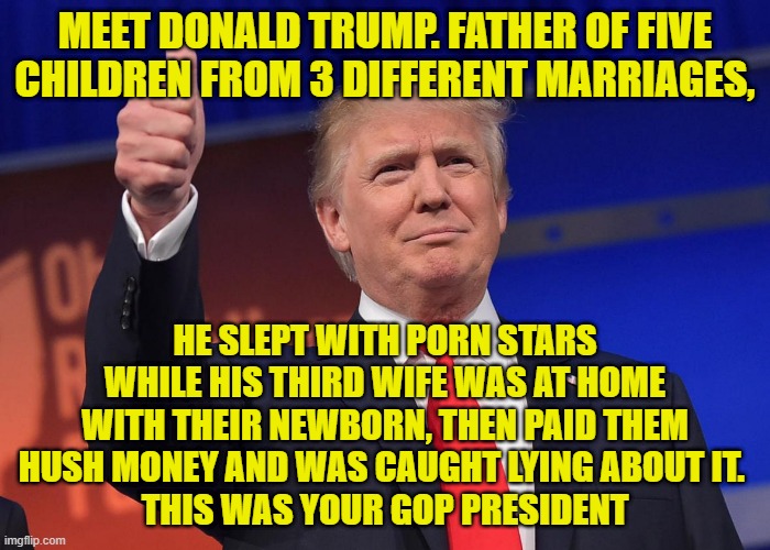 Meet Donald Trump | MEET DONALD TRUMP. FATHER OF FIVE CHILDREN FROM 3 DIFFERENT MARRIAGES, HE SLEPT WITH PORN STARS WHILE HIS THIRD WIFE WAS AT HOME WITH THEIR NEWBORN, THEN PAID THEM HUSH MONEY AND WAS CAUGHT LYING ABOUT IT. 
THIS WAS YOUR GOP PRESIDENT | image tagged in donald trump | made w/ Imgflip meme maker