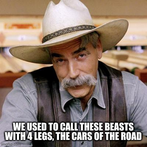 SARCASM COWBOY | WE USED TO CALL THESE BEASTS WITH 4 LEGS, THE CARS OF THE ROAD | image tagged in sarcasm cowboy | made w/ Imgflip meme maker