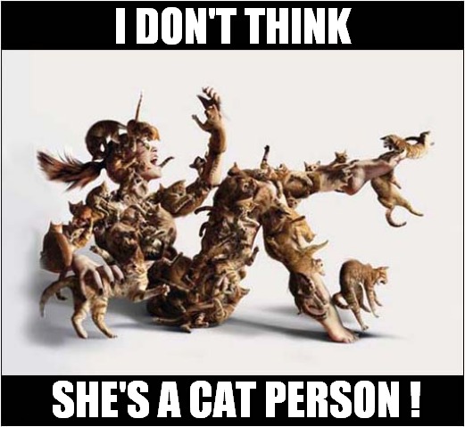 Unprovoked Attack ! | I DON'T THINK; SHE'S A CAT PERSON ! | image tagged in cats,attack,cat lady | made w/ Imgflip meme maker