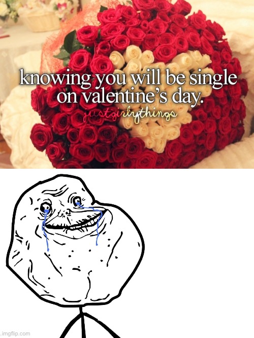justgirlythings knowing you will be single on valentine's day | image tagged in justgirlythings,forever alone,valentine's day | made w/ Imgflip meme maker