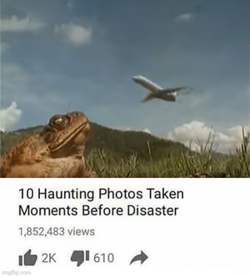 Too 10 photos taken seconds before disaster | image tagged in too 10 photos taken seconds before disaster | made w/ Imgflip meme maker