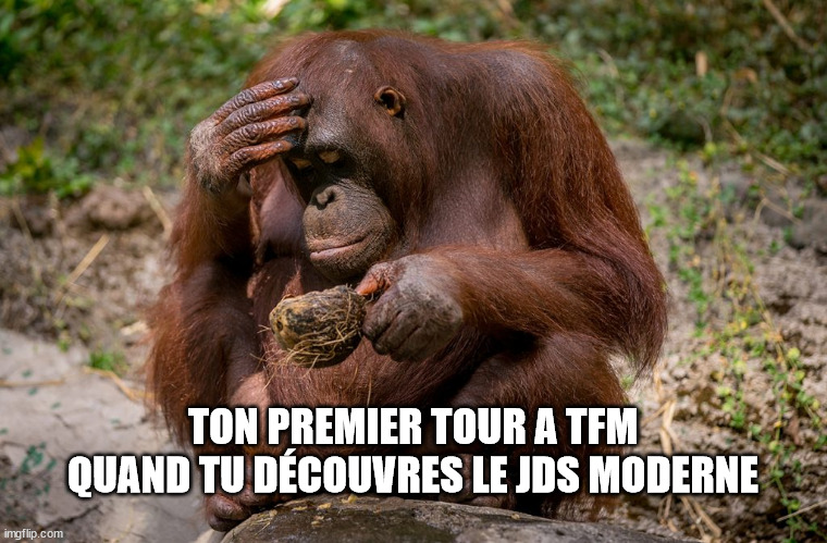  TON PREMIER TOUR A TFM QUAND TU DÉCOUVRES LE JDS MODERNE | made w/ Imgflip meme maker