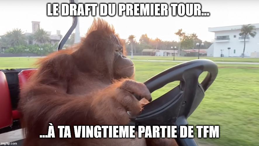  LE DRAFT DU PREMIER TOUR... ...À TA VINGTIEME PARTIE DE TFM | made w/ Imgflip meme maker
