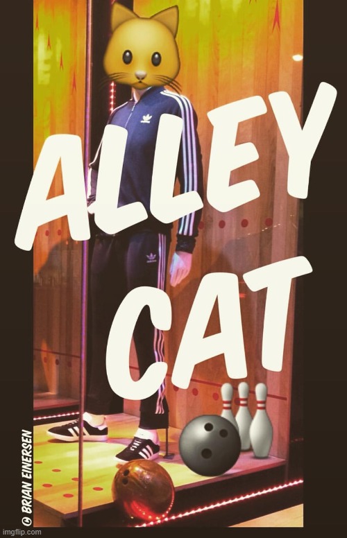 Bowling Alley Cat | image tagged in fashion,adidas,window design,bloomingdales,emooji art,brian einersen | made w/ Imgflip meme maker