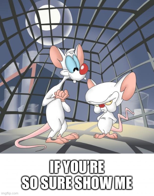 Pinky and the brain | IF YOU’RE SO SURE SHOW ME | image tagged in pinky and the brain | made w/ Imgflip meme maker