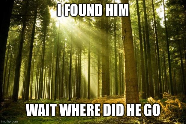 sunlit forest | I FOUND HIM WAIT WHERE DID HE GO | image tagged in sunlit forest | made w/ Imgflip meme maker