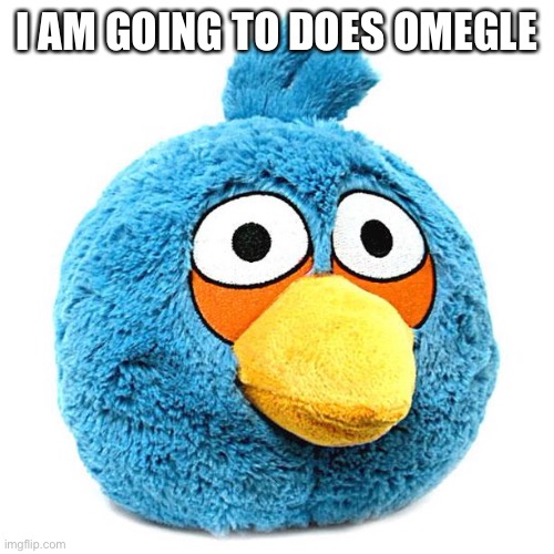 I AM GOING TO DOES OMEGLE | made w/ Imgflip meme maker