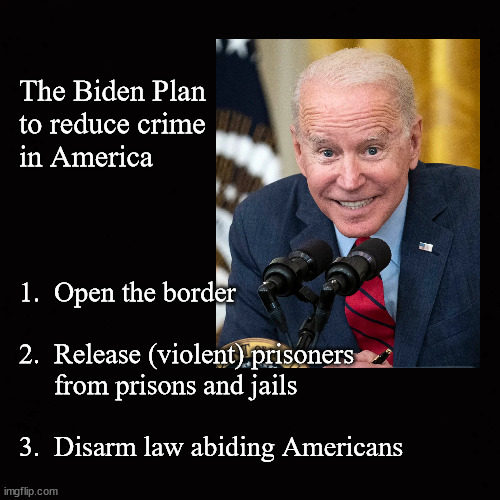 The Biden Plan  to reduce crime  in America | The Biden Plan 
to reduce crime 
in America; 1.  Open the border
 
2.  Release (violent) prisoners 
     from prisons and jails
 
3.  Disarm law abiding Americans | image tagged in biden,crime,open border | made w/ Imgflip meme maker