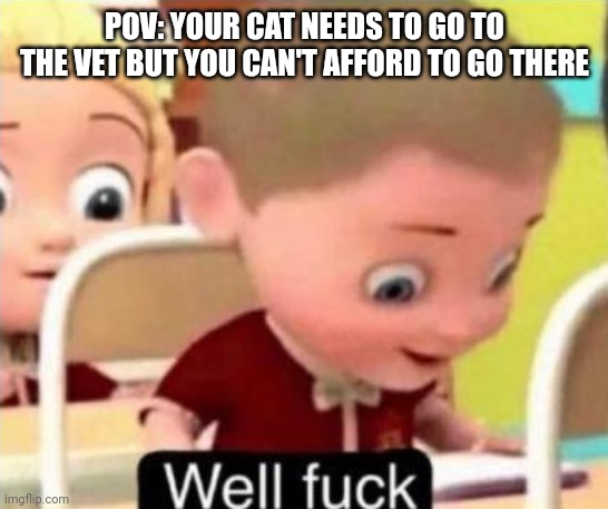 Idk if this gets me banned | POV: YOUR CAT NEEDS TO GO TO THE VET BUT YOU CAN'T AFFORD TO GO THERE | image tagged in memes | made w/ Imgflip meme maker