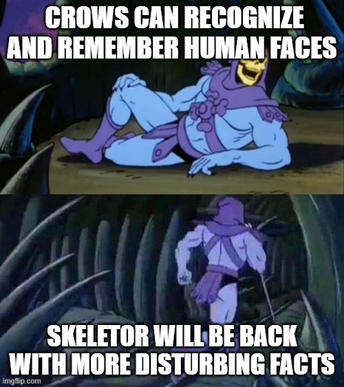 humans are inclined to see faces everywhere | CROWS CAN RECOGNIZE AND REMEMBER HUMAN FACES; SKELETOR WILL BE BACK WITH MORE DISTURBING FACTS | image tagged in skeletor disturbing facts | made w/ Imgflip meme maker