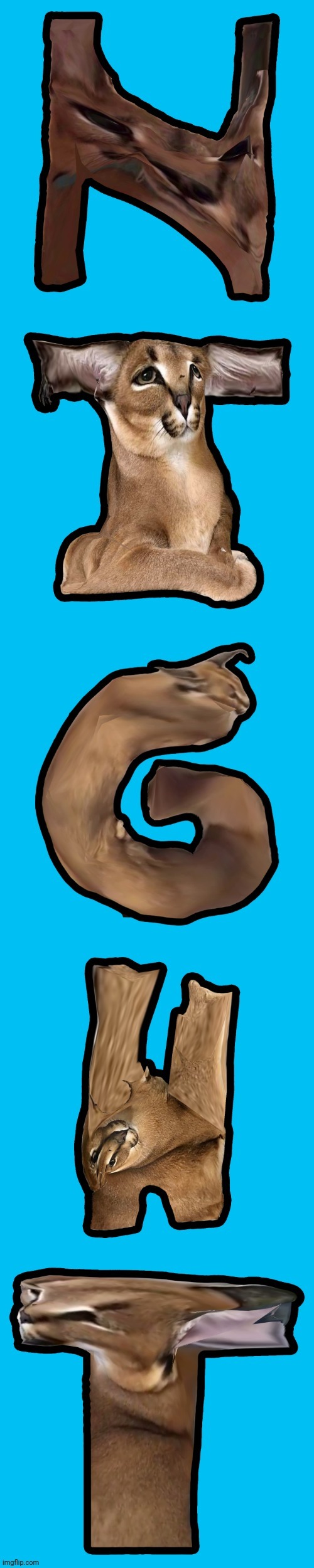 New temp: "Floppa "Night" | image tagged in floppa night | made w/ Imgflip meme maker