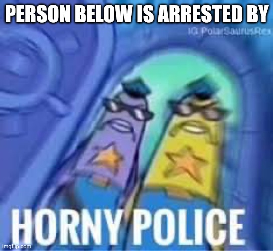 Horny police | PERSON BELOW IS ARRESTED BY | image tagged in horny police | made w/ Imgflip meme maker