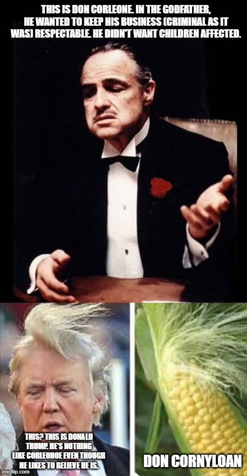 THIS IS DON CORLEONE. IN THE GODFATHER, HE WANTED TO KEEP HIS BUSINESS (CRIMINAL AS IT WAS) RESPECTABLE. HE DIDN'T WANT CHILDREN AFFECTED. DON CORNYLOAN; THIS? THIS IS DONALD TRUMP. HE'S NOTHING LIKE CORLEONOE EVEN THOUGH HE LIKES TO BELIEVE HE IS. | image tagged in mafia don corleone,donald trump hair | made w/ Imgflip meme maker